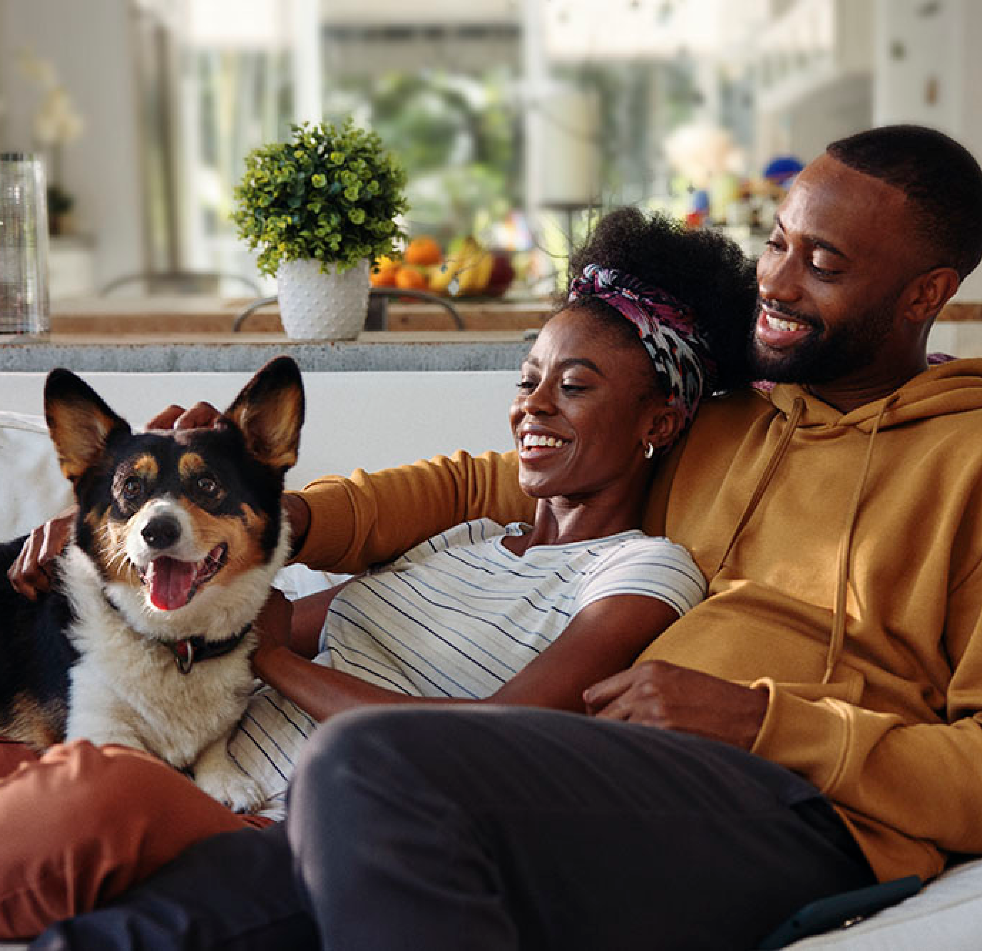 varo apply VA 250 Couple with dog