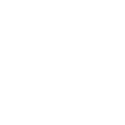 encryption-icon icon