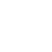 fast-icon icon